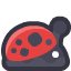 ladybug
